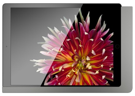 VIVEROO free design iPad vlakke wandhouder dark steel